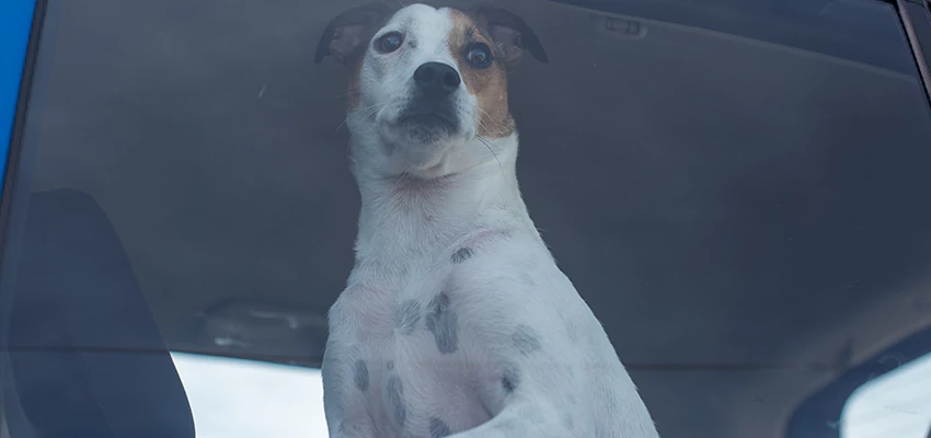 Car Lockout Solutions in Crestline, California